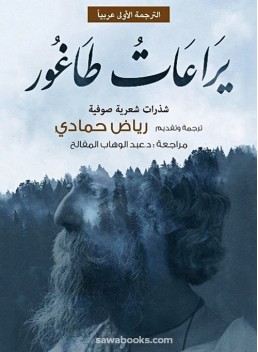 Fireflies: mystical poetic nuggets