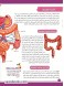Digestive, Urinary and Excretory Systems