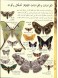 Animals: a visual encyclopedia