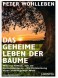 Das Geheime Leben Der Bäume