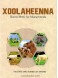 Xoolaheenna