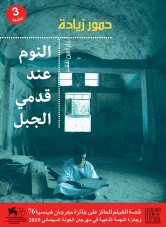 Sleeping at the foot of the mountain : stories